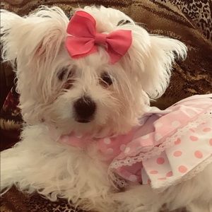 Meet your Posher, Sandi